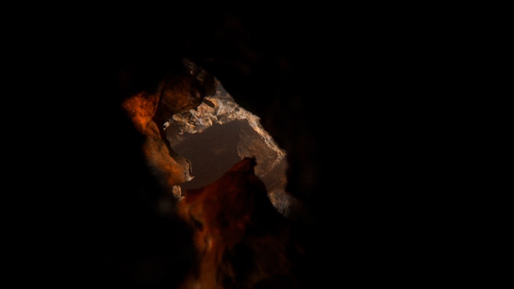 CPR_TDY_film_sh1400_comp_main_render_beauty_v004