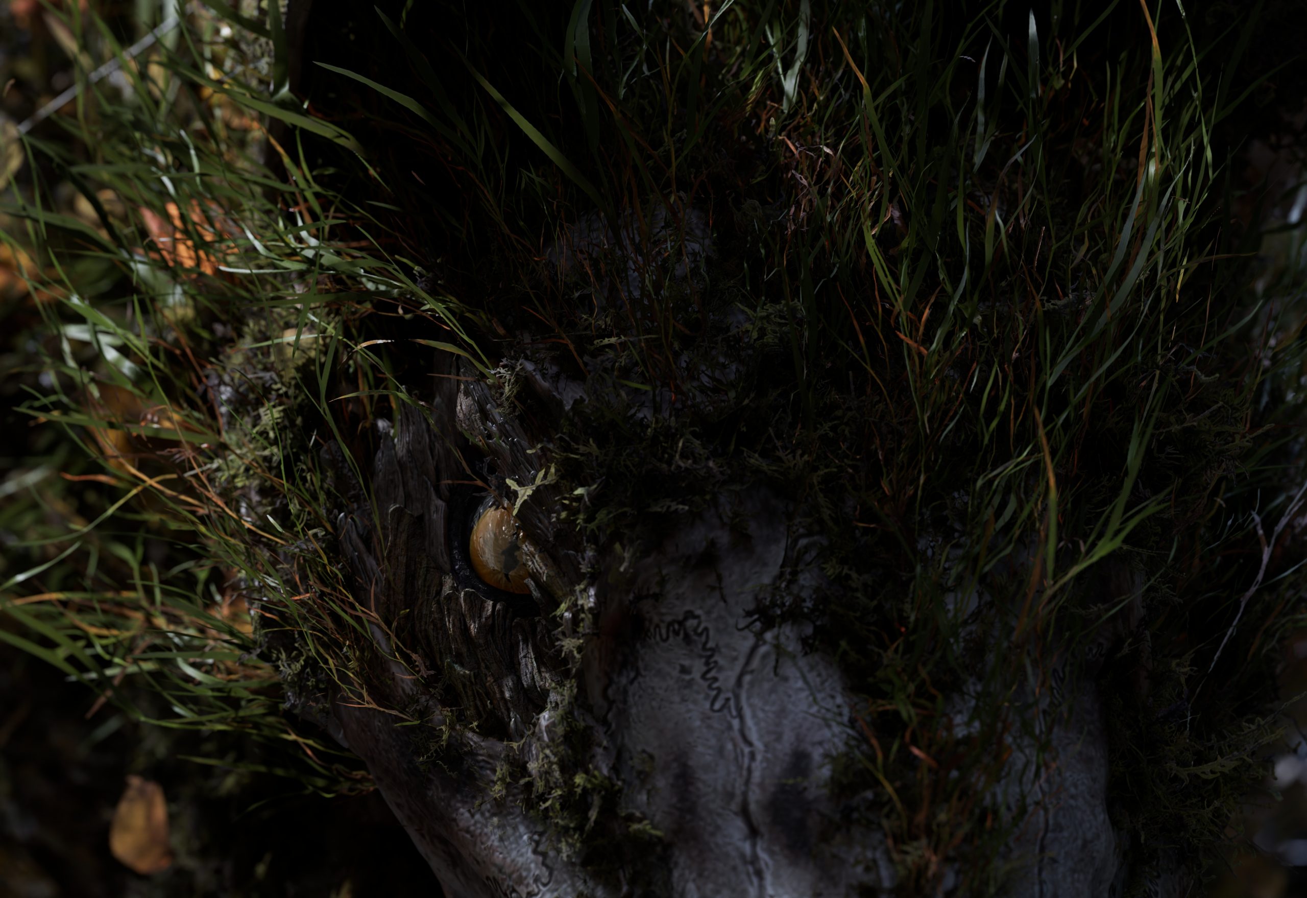 2510_senuelo_020_0050_light_main_render_main_dN_v006.1107