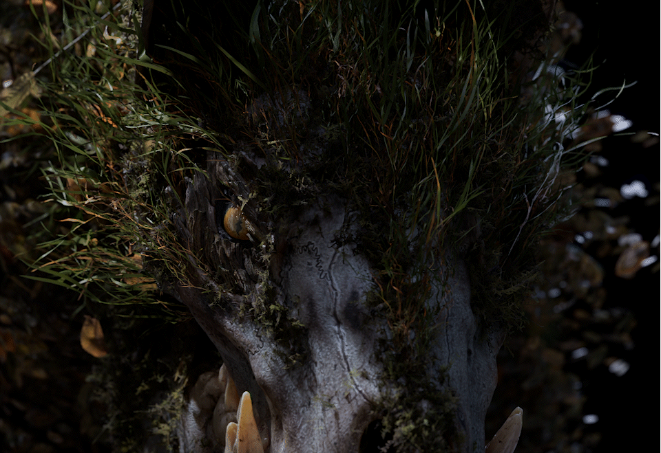 2510_senuelo_020_0050_light_main_render_main_dN_v006