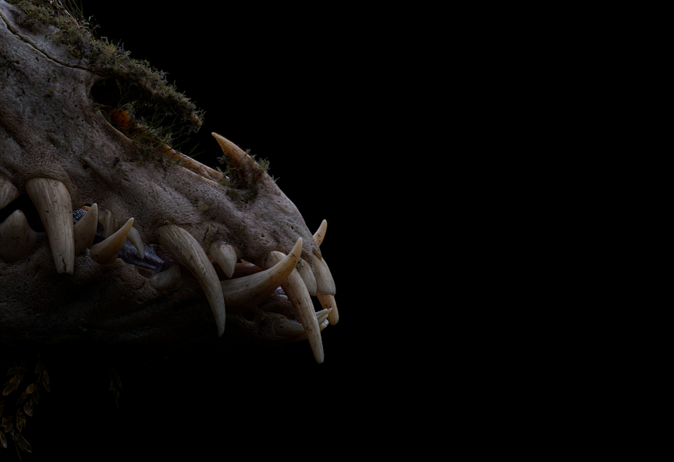 2510_senuelo_020_0080_light_main_render_main_dN_v013