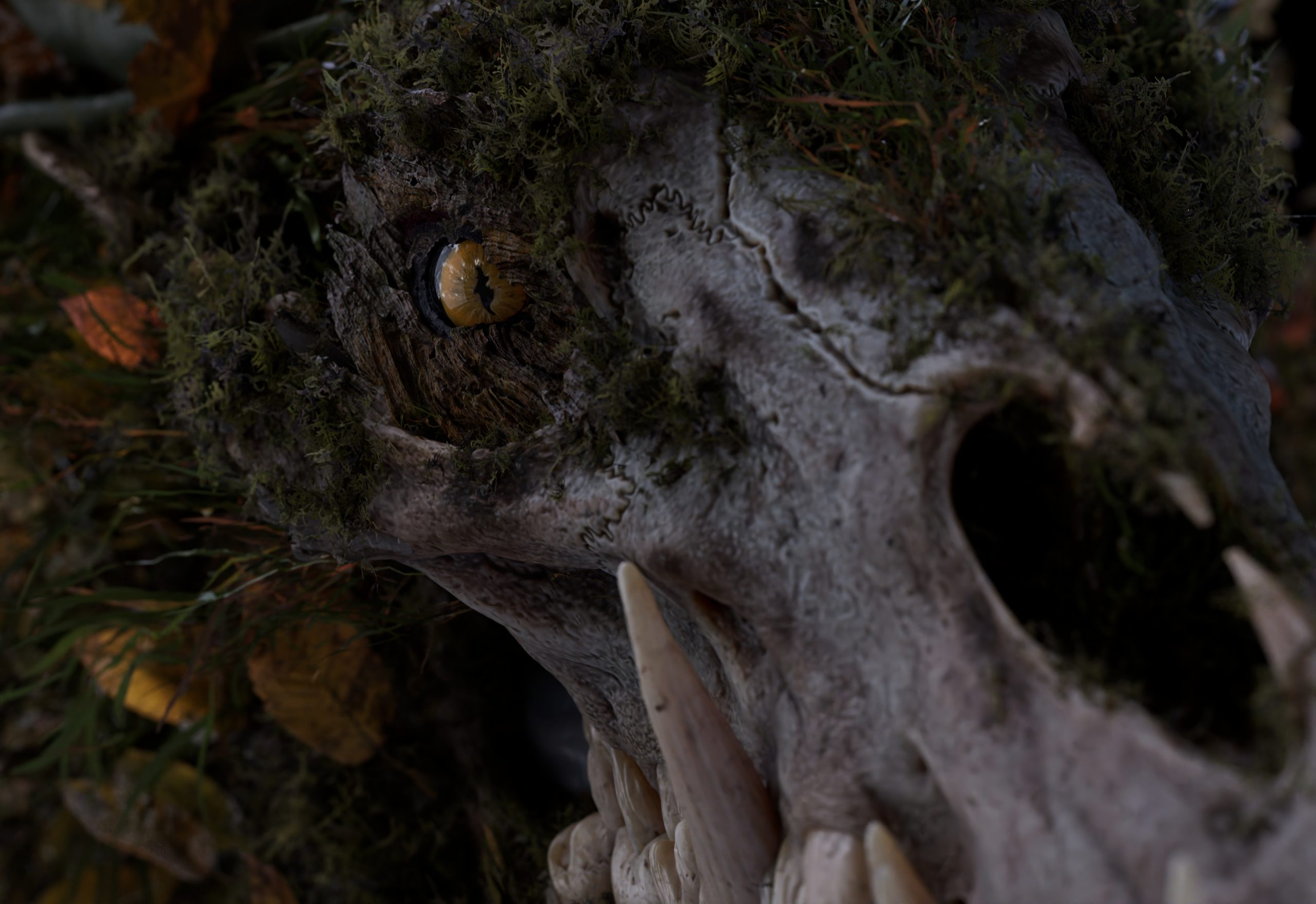 2510_senuelo_020_0087_light_main_render_main_dN_v007.1048