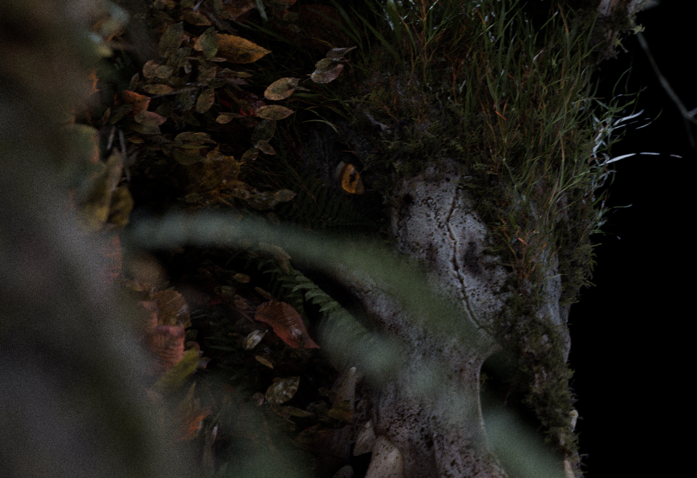 2510_senuelo_020_0170_light_main_render_main_v006.1050