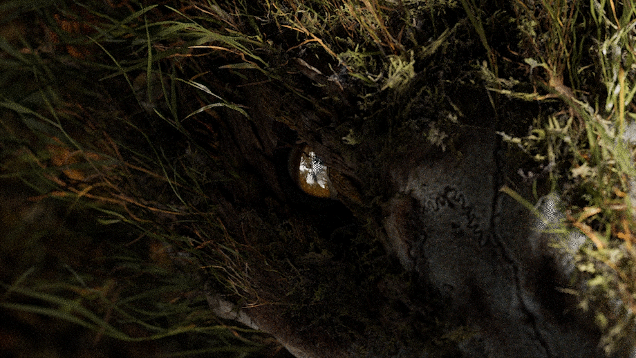 2510_senuelo_DC_0020_light_main_render_main_v004