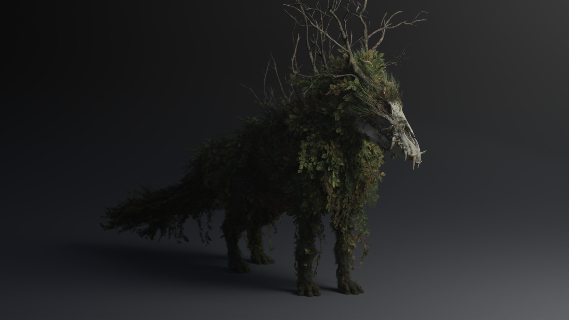 2510_senuelo_loba_shading_main_render_loba_dN_v015.1004